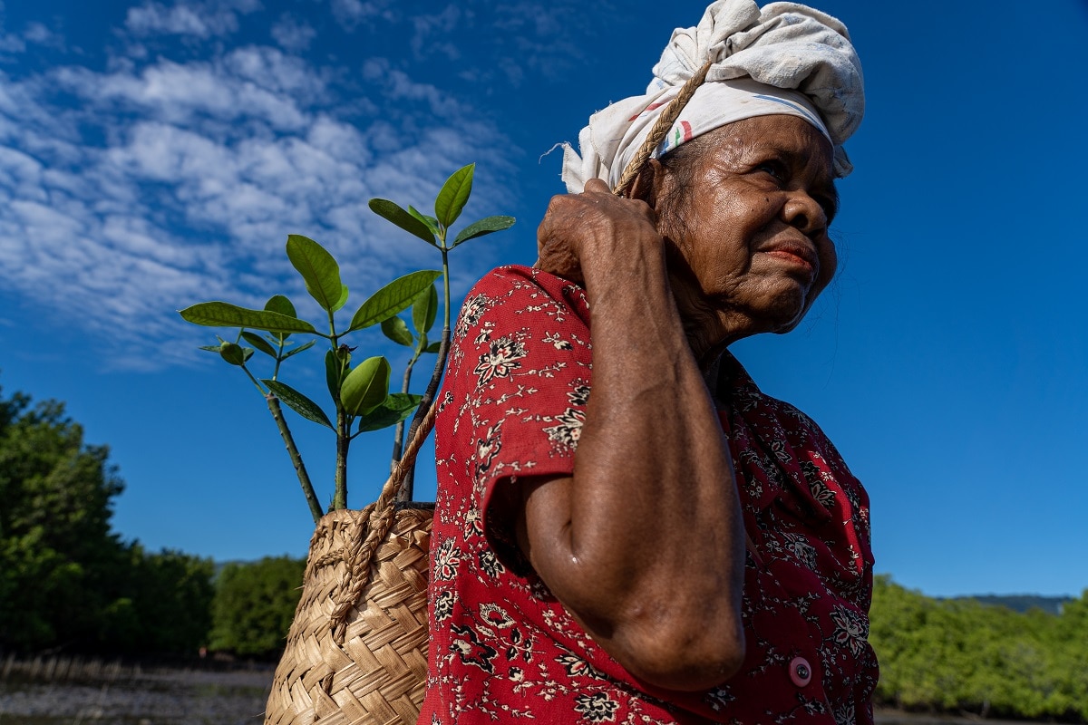 A shifting rainy season is changing crop cycles, adversely impacting those who depend on its predictability for harvesting (Yuichi Ishida/UNDP Timor-Leste)